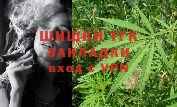 молекула духа Балахна