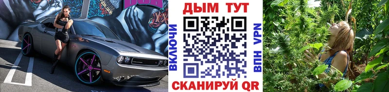 Шишки марихуана тримм  Переславль-Залесский 